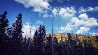 Dispersed Camping in Wasatch National Forest