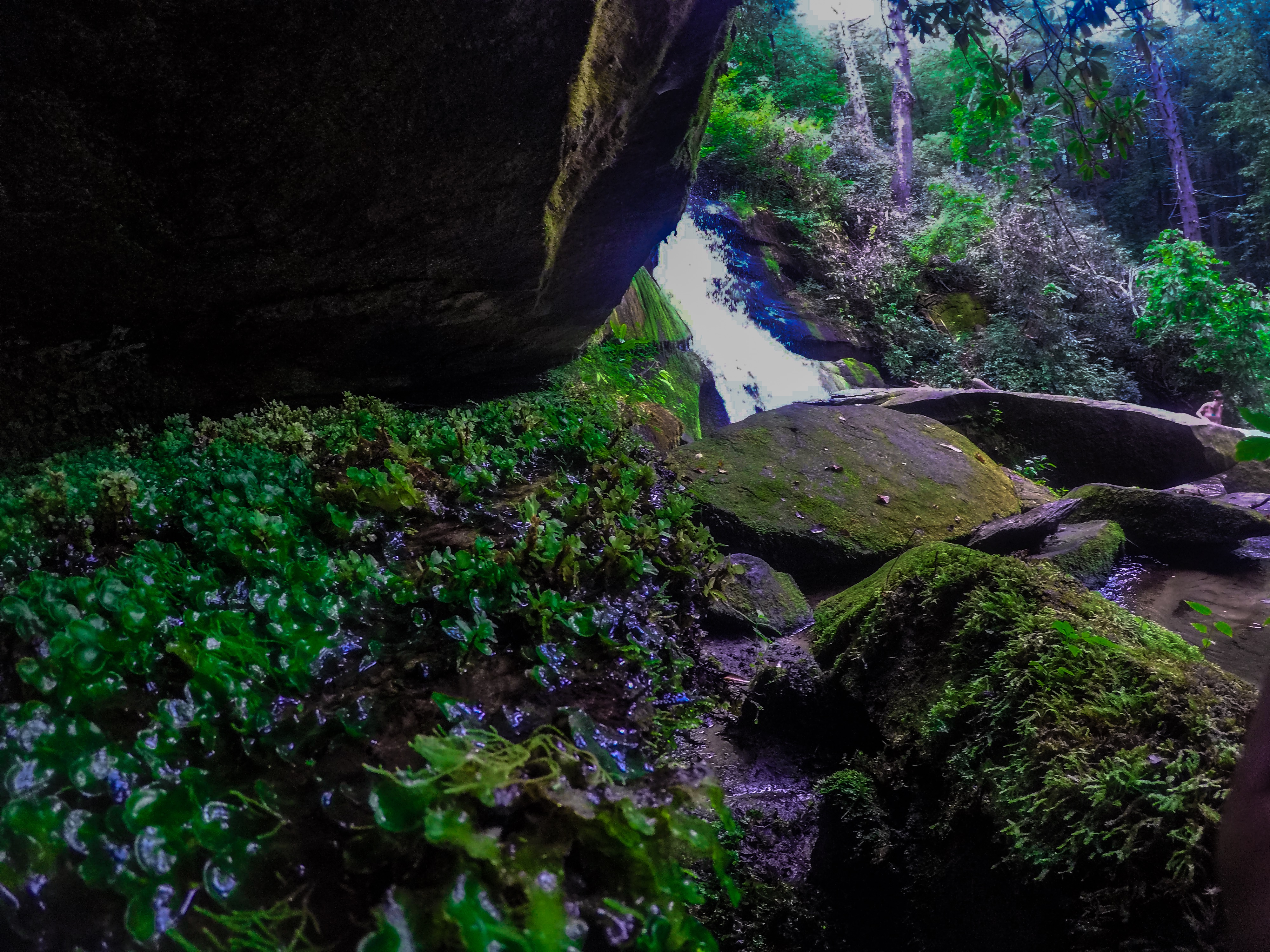 Hike to John Rock