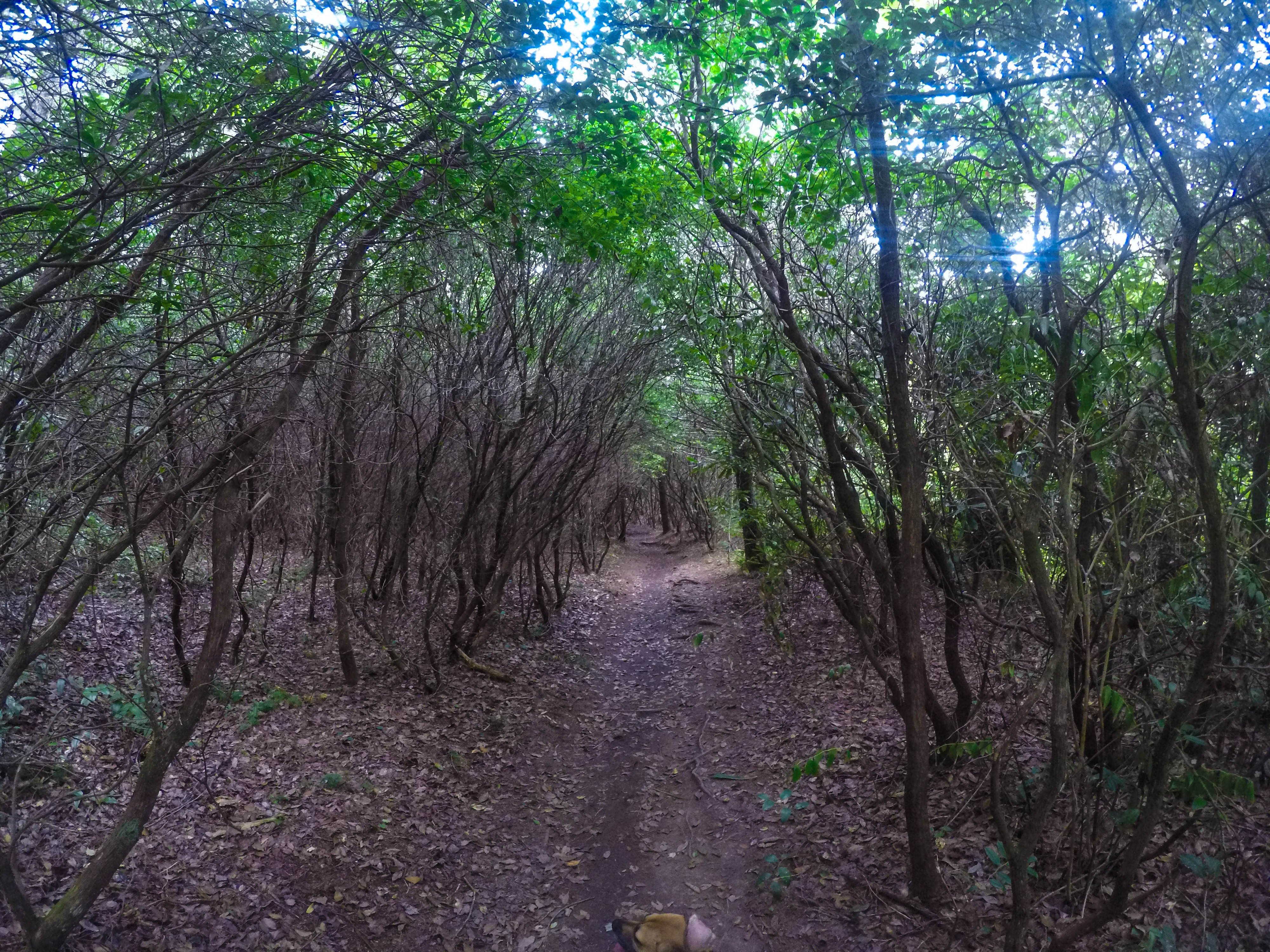 Hike to John Rock