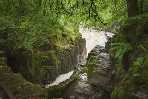 Hike the Hermitage, Scotland