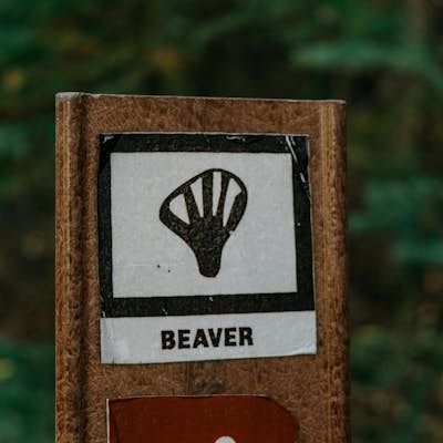 Hike Beaver Trail in Golden Gate Canyon State Park