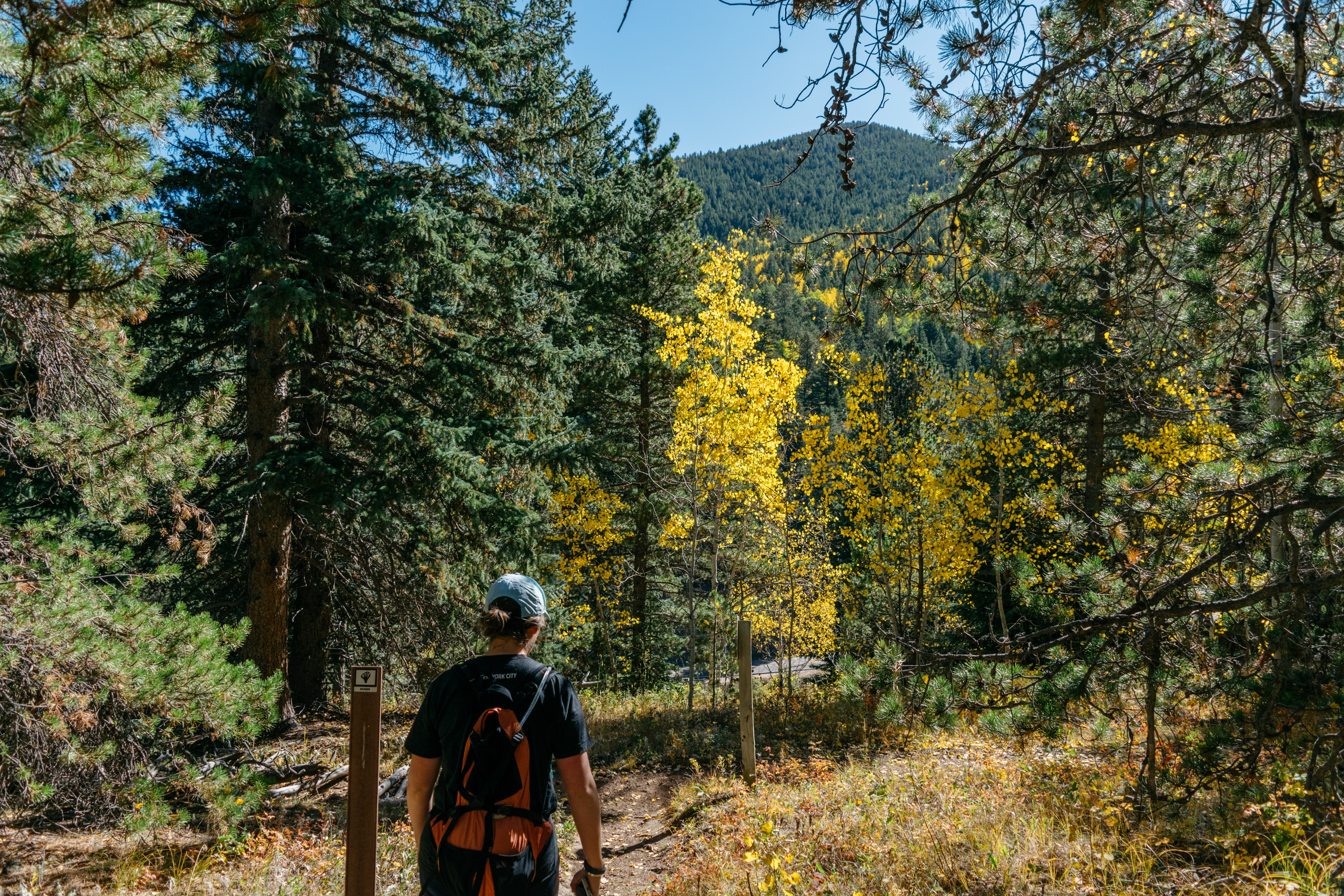 Hike Beaver Trail in Golden Gate Canyon State Park