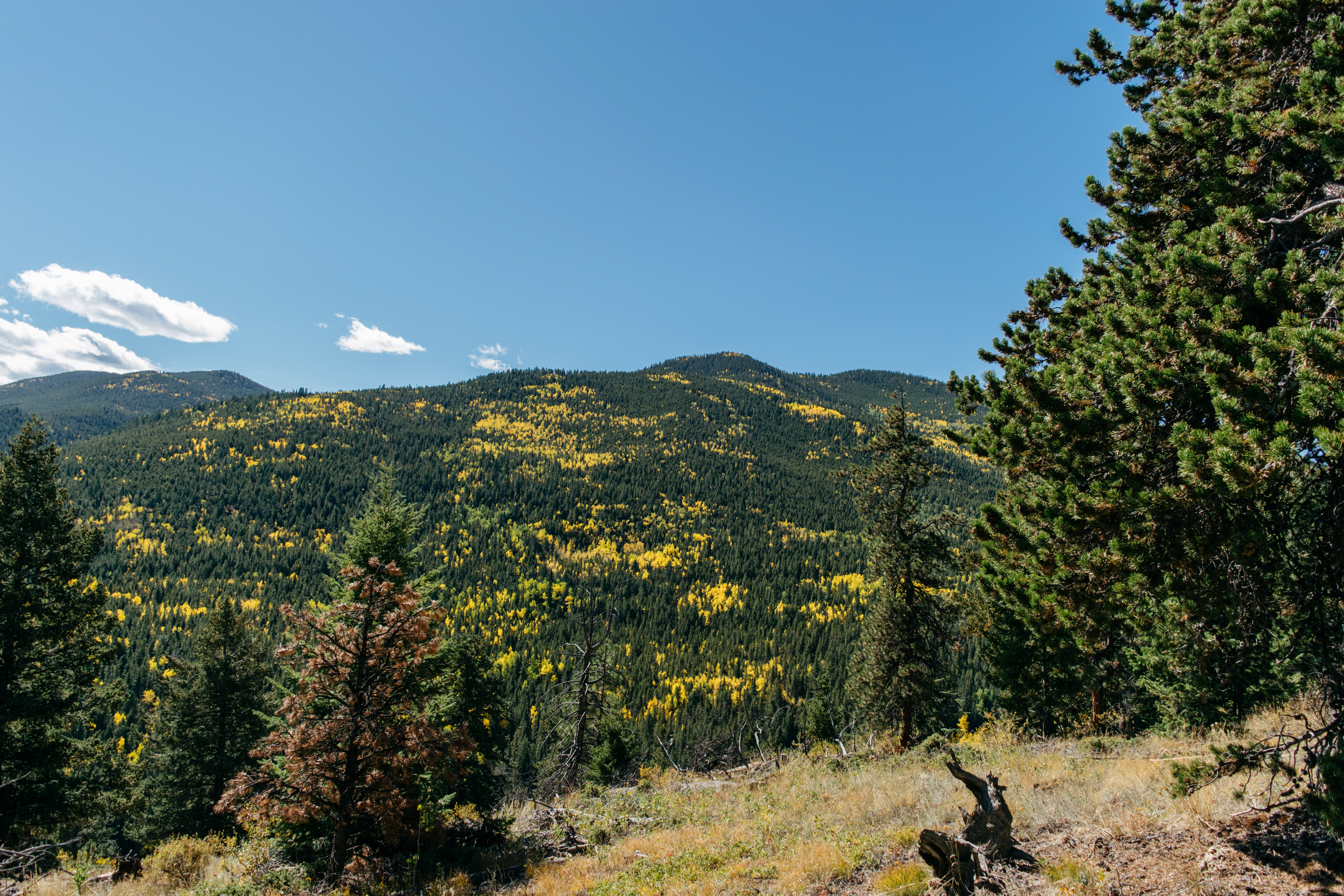 Hike Beaver Trail in Golden Gate Canyon State Park