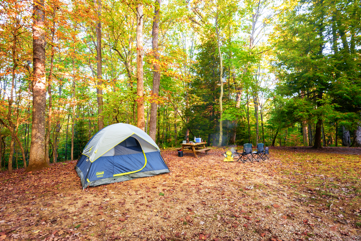 Camp at Babcock State Park