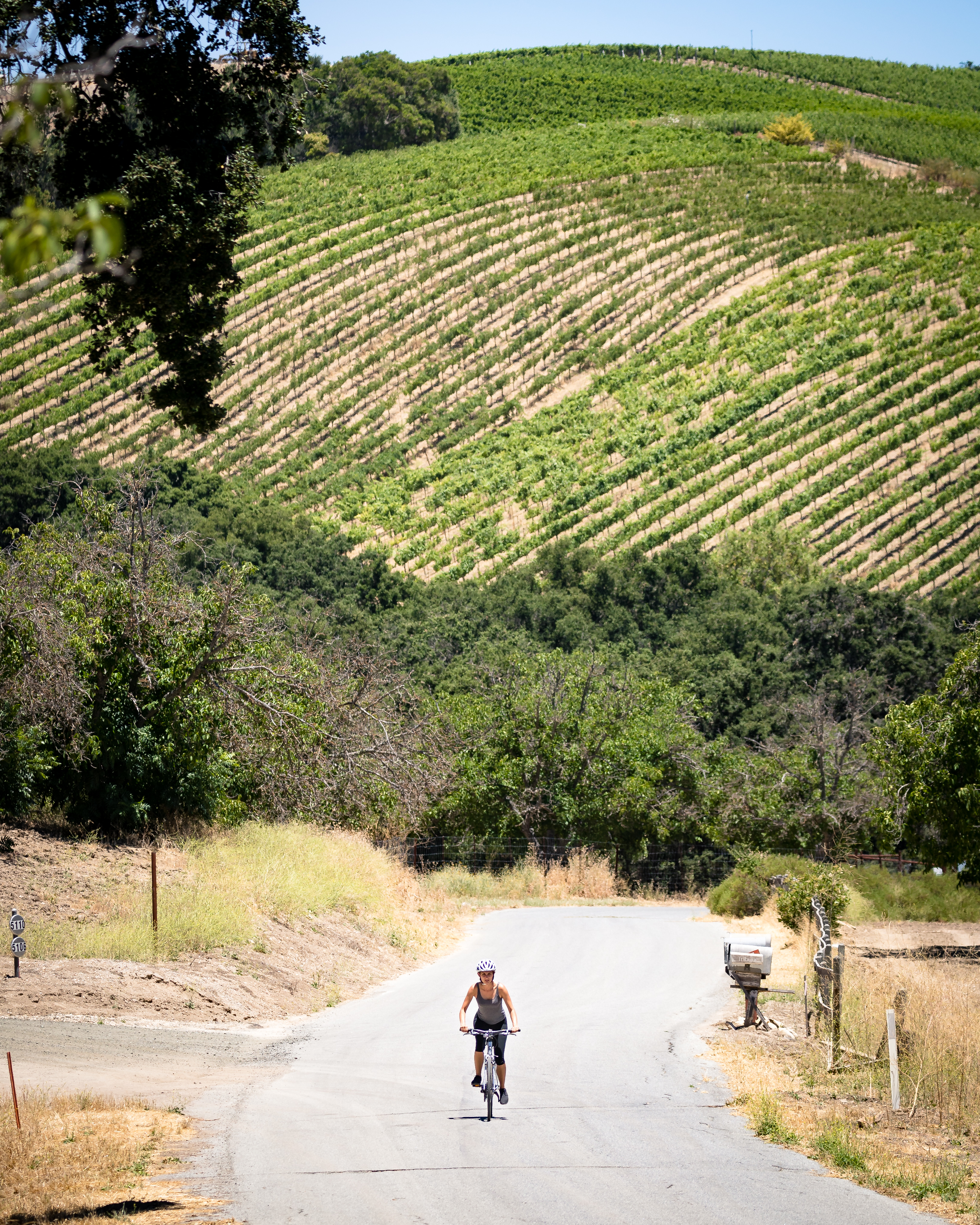Bike Peachy Canyon