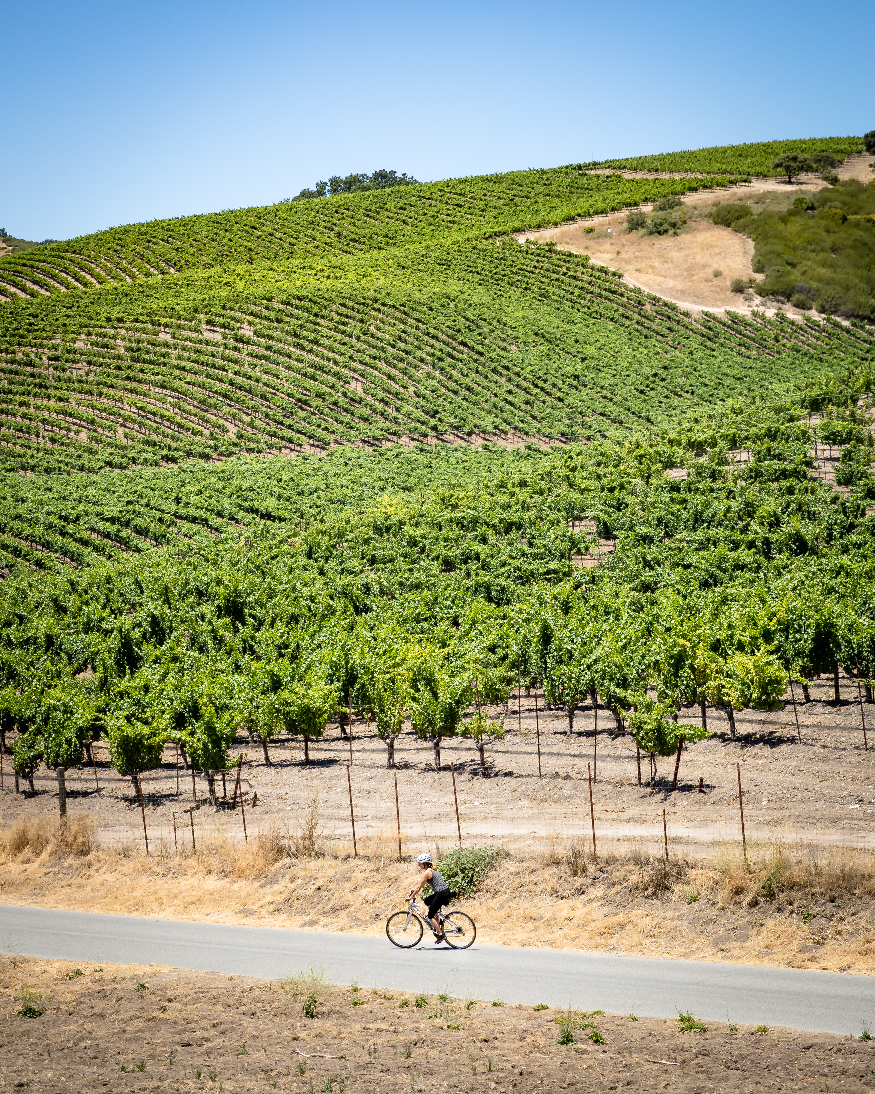 Bike Peachy Canyon