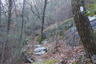 Hike the Pinnacle Pass/Rim of the Gap Loop