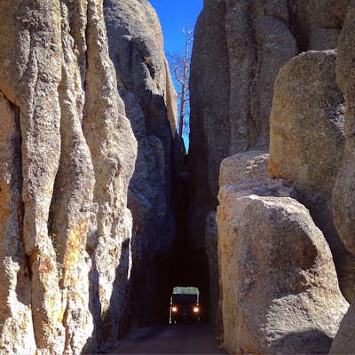 Drive Needles Highway in Custer State Park