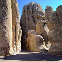 Drive Needles Highway in Custer State Park