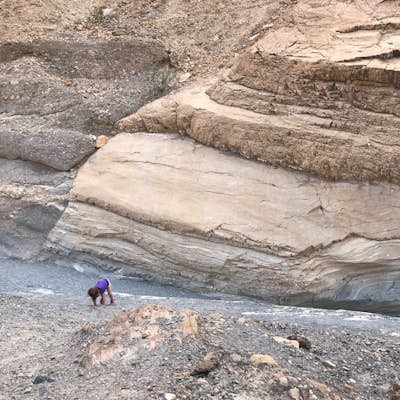 Exploring Death Valley NP with Kids