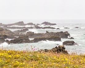 Hike the Salt Point Trail