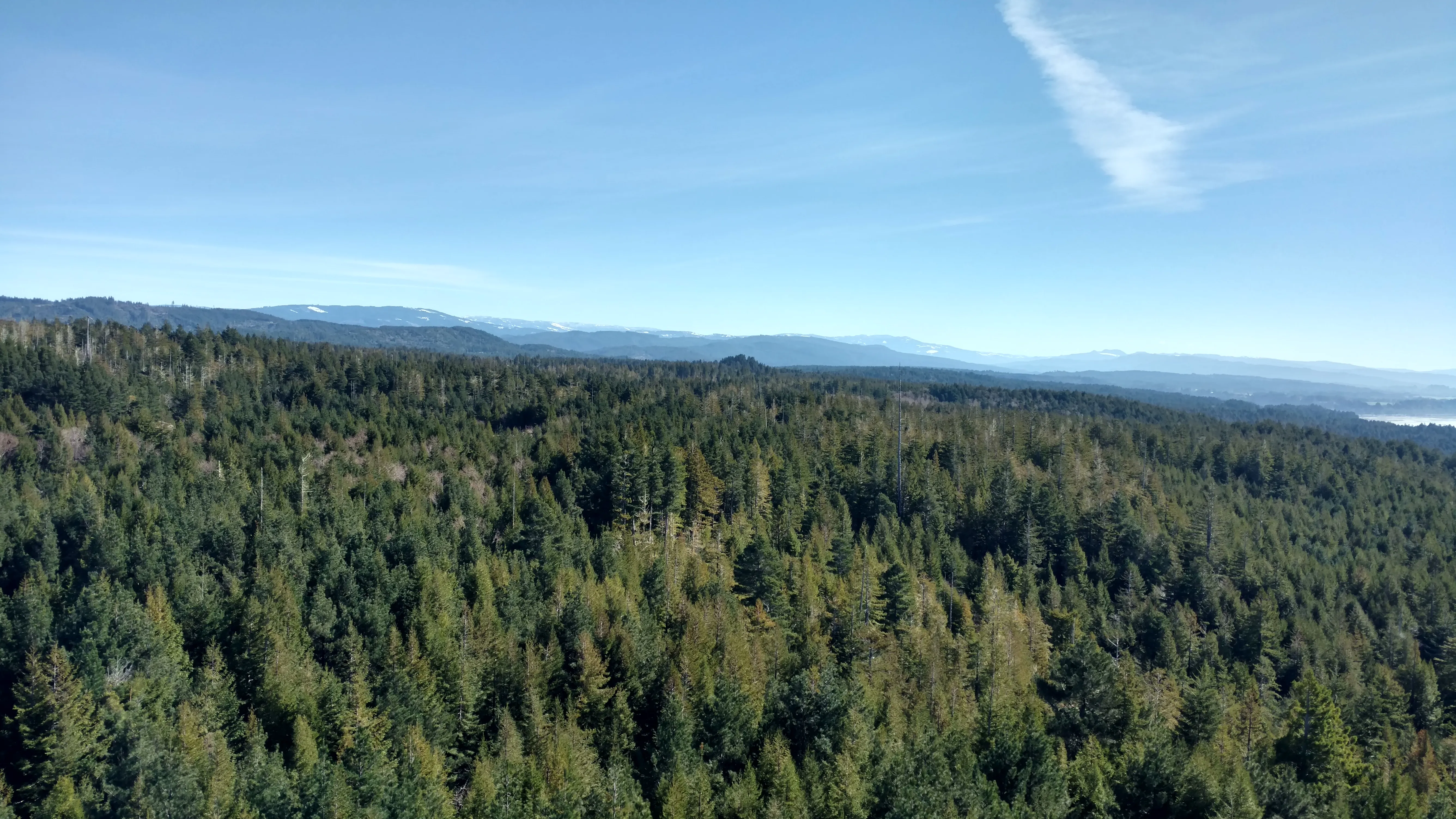 Strawberry Rock Trail