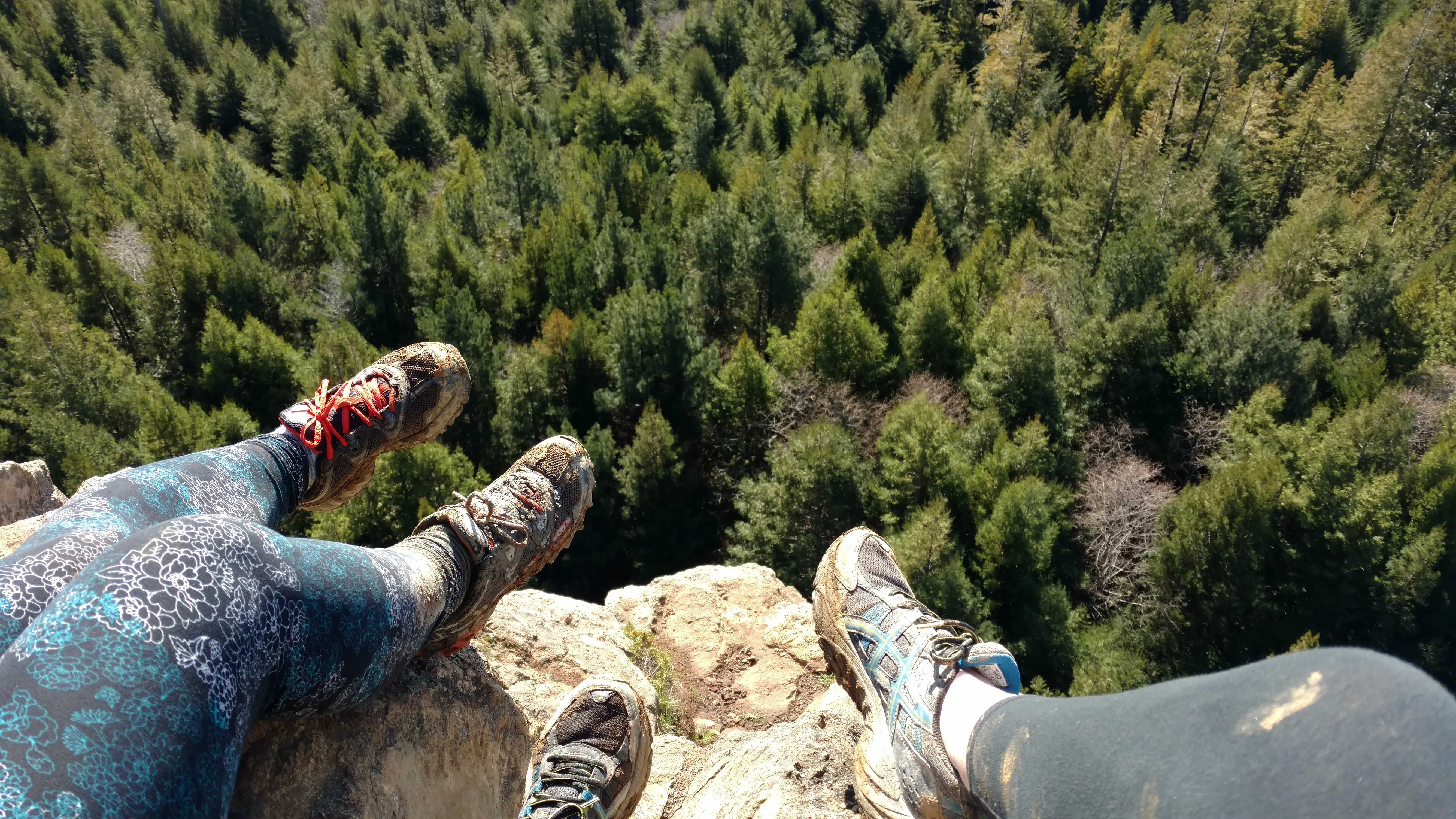 Strawberry Rock Trail