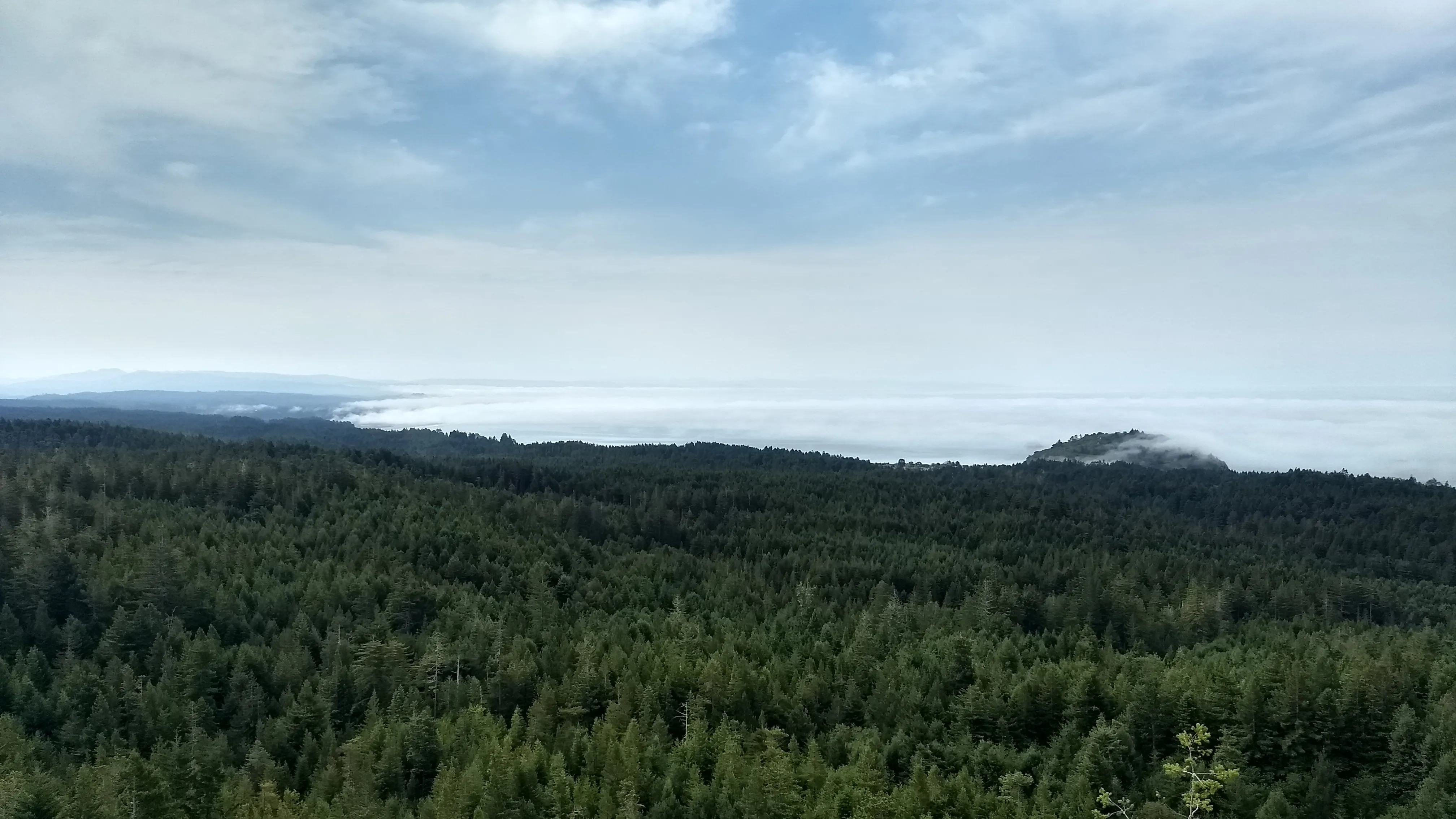 Strawberry Rock Trail