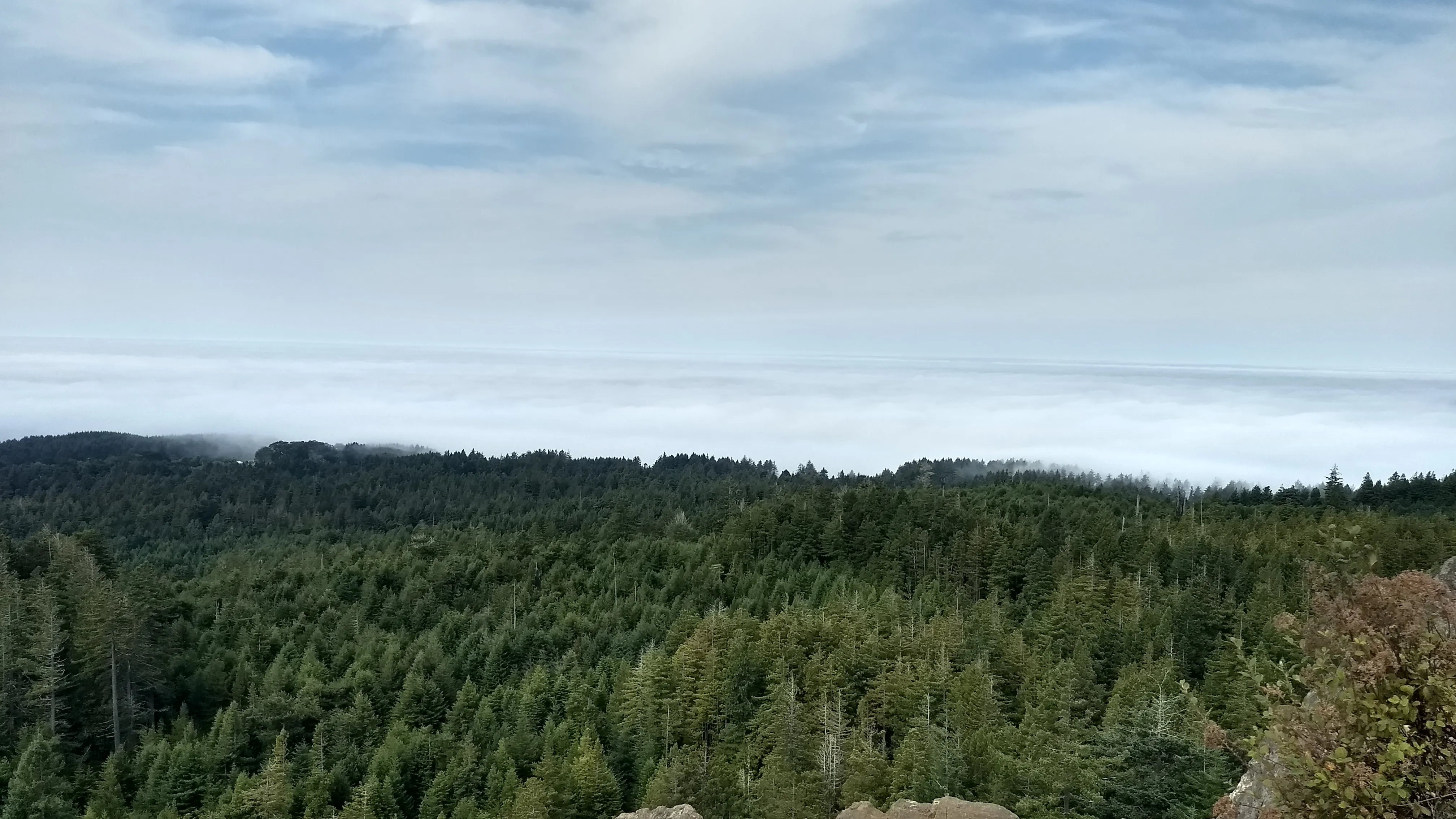 Strawberry Rock Trail