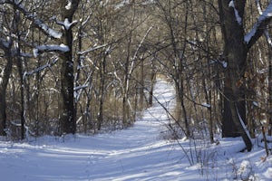 Hike the Osceola Bedrock Glades Loop