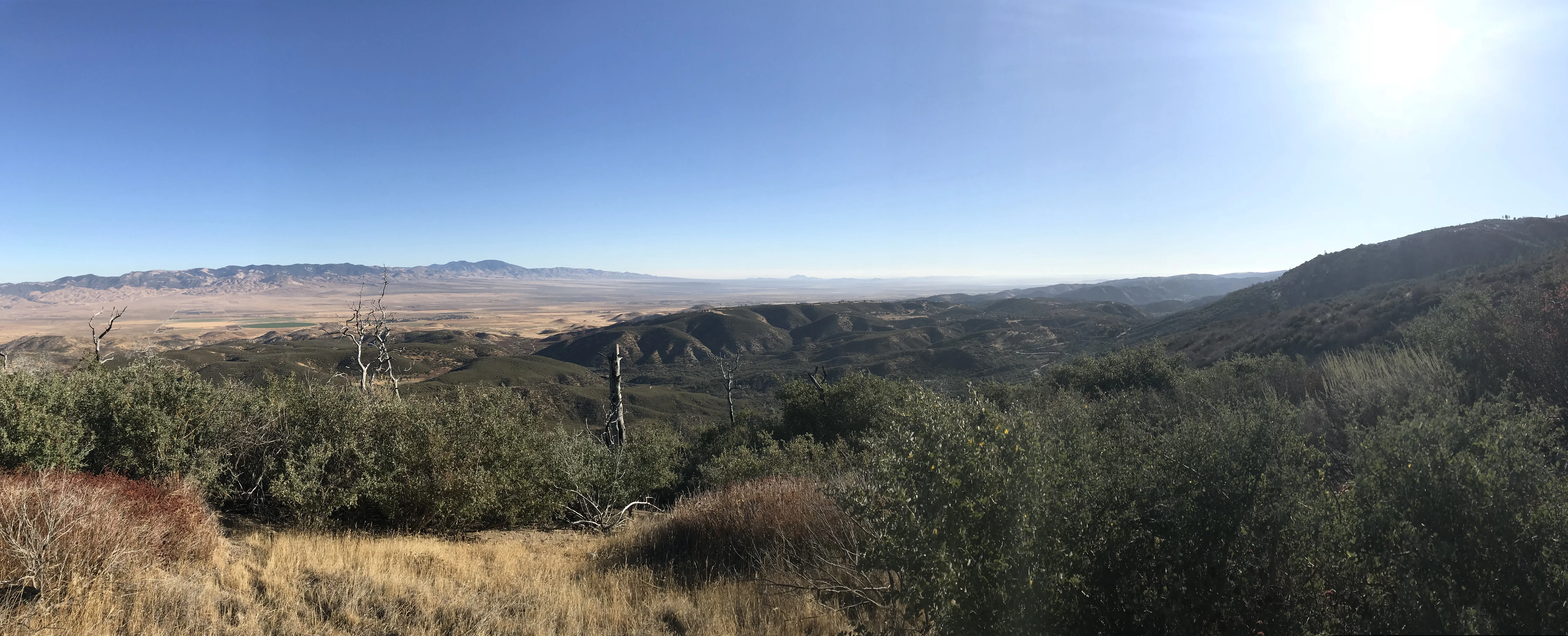 Hike the Pacific Crest Trail from Horse Trail to Bear Campground