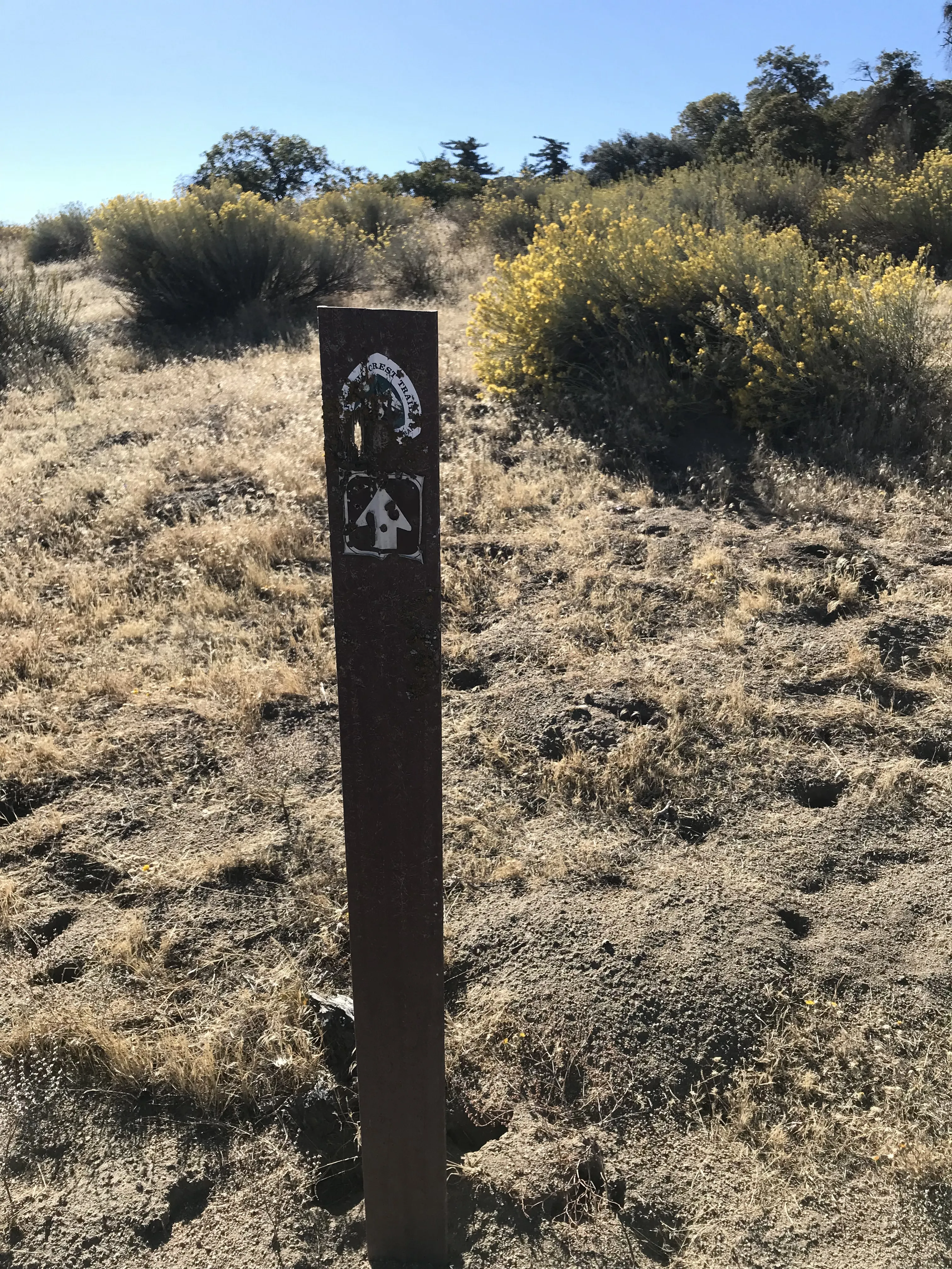 Hike the Pacific Crest Trail from Horse Trail to Bear Campground