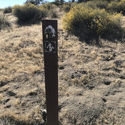 Hike the Pacific Crest Trail from Horse Trail to Bear Campground