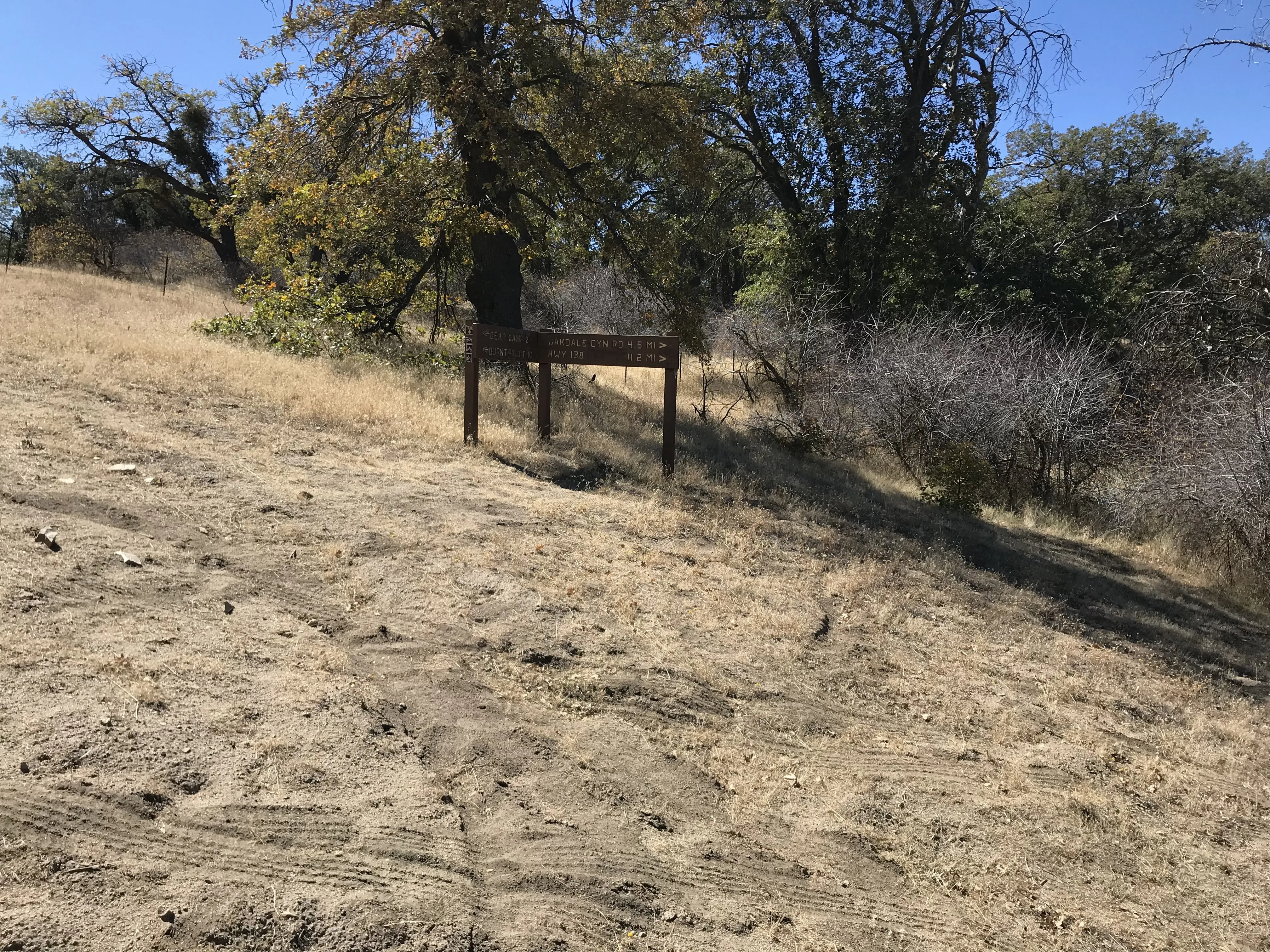 Hike the Pacific Crest Trail from Horse Trail to Bear Campground