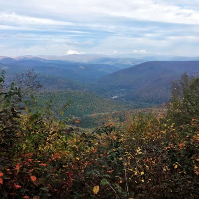 Hike to Balsam Mountain in the Catskills
