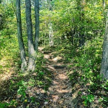 Hike the Natural Bridge State Park Loop