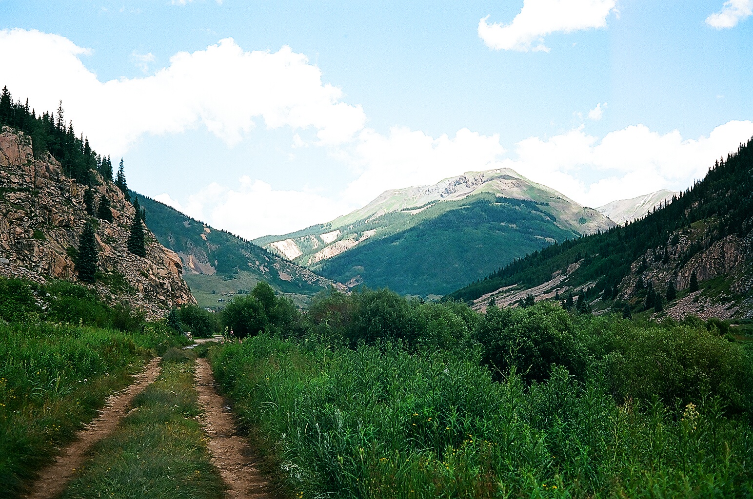Fly Fish the Animas River