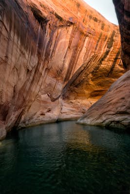 Explore Lake Powell's Clear Creek Canyon by Powerboat