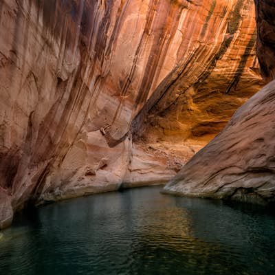 Explore Lake Powell's Clear Creek Canyon by Powerboat