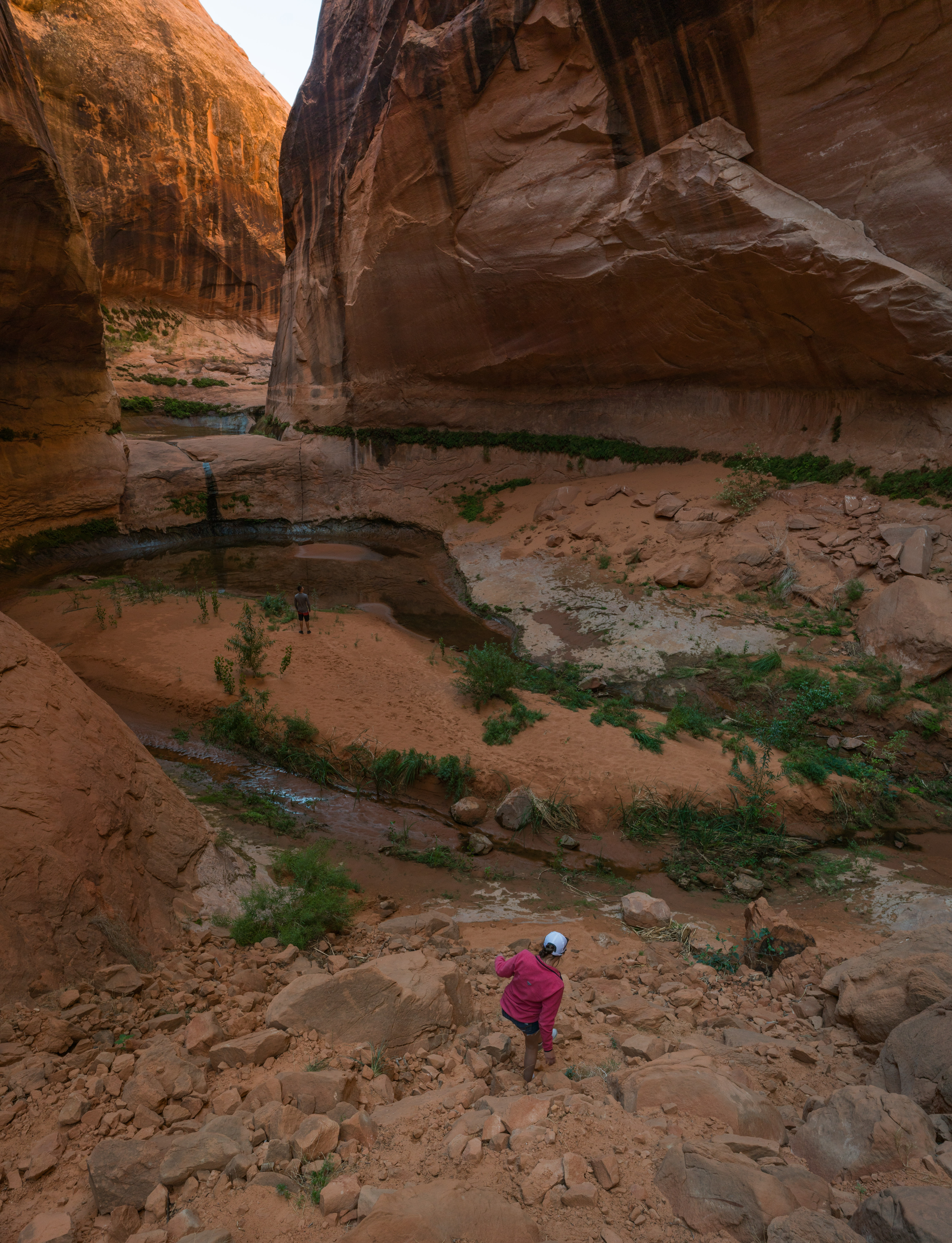 Explore Lake Powell's Clear Creek Canyon by Powerboat