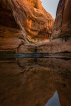 Explore Lake Powell's Clear Creek Canyon by Powerboat