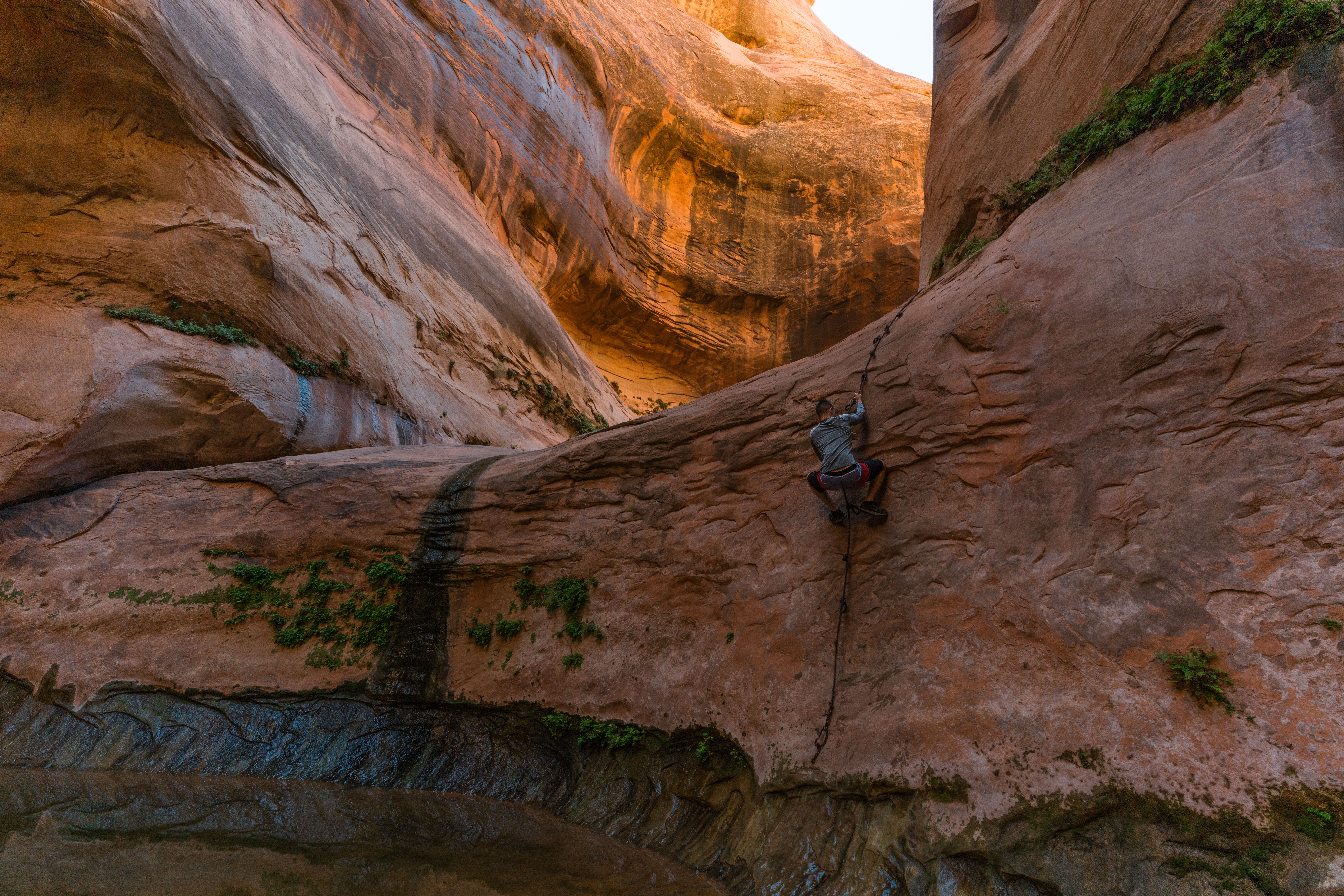 Explore Lake Powell's Clear Creek Canyon by Powerboat