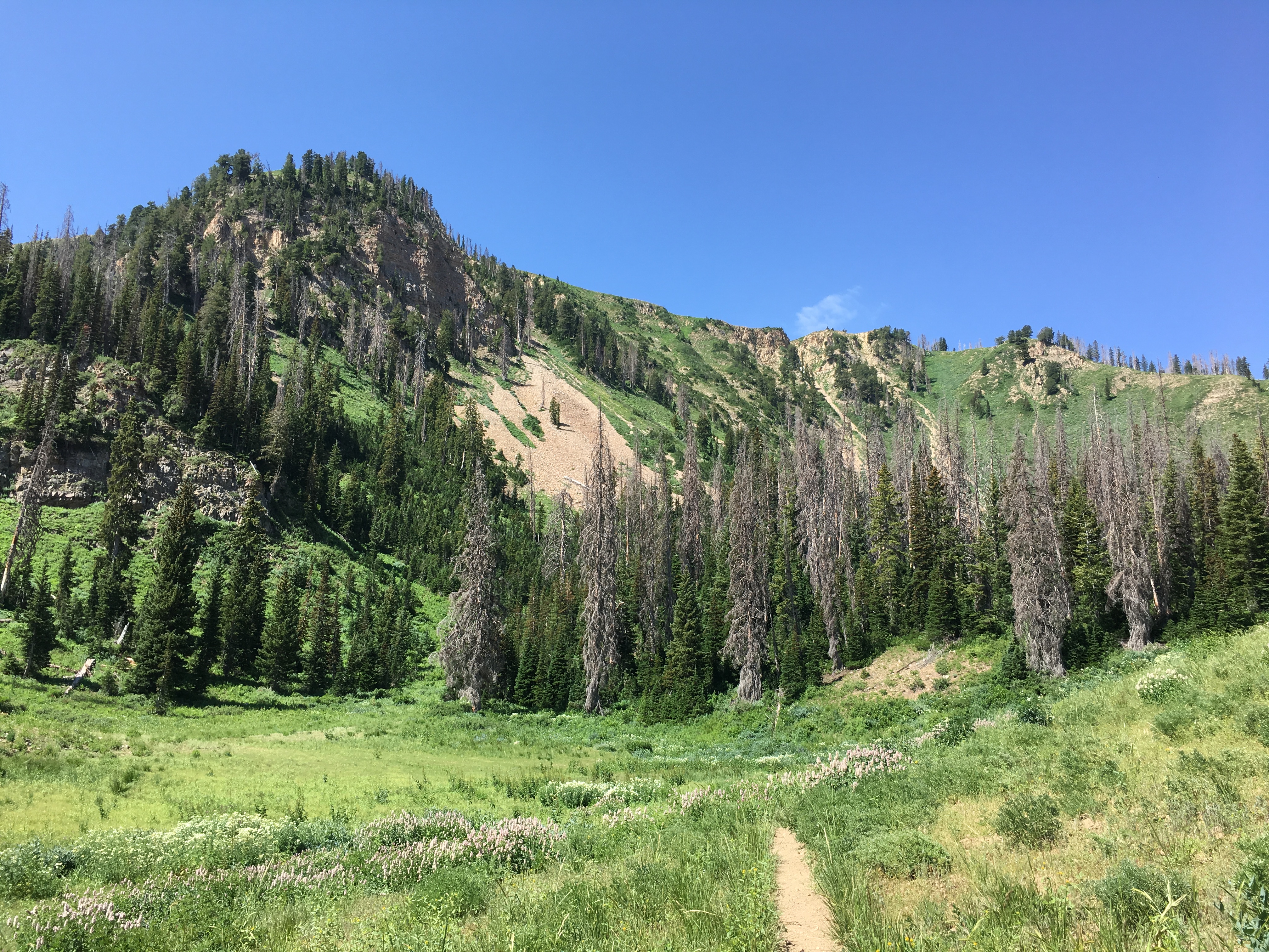 Maple Mountain (aka Spanish Fork Peak)