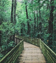 Take a Stroll through Eureka Springs Park