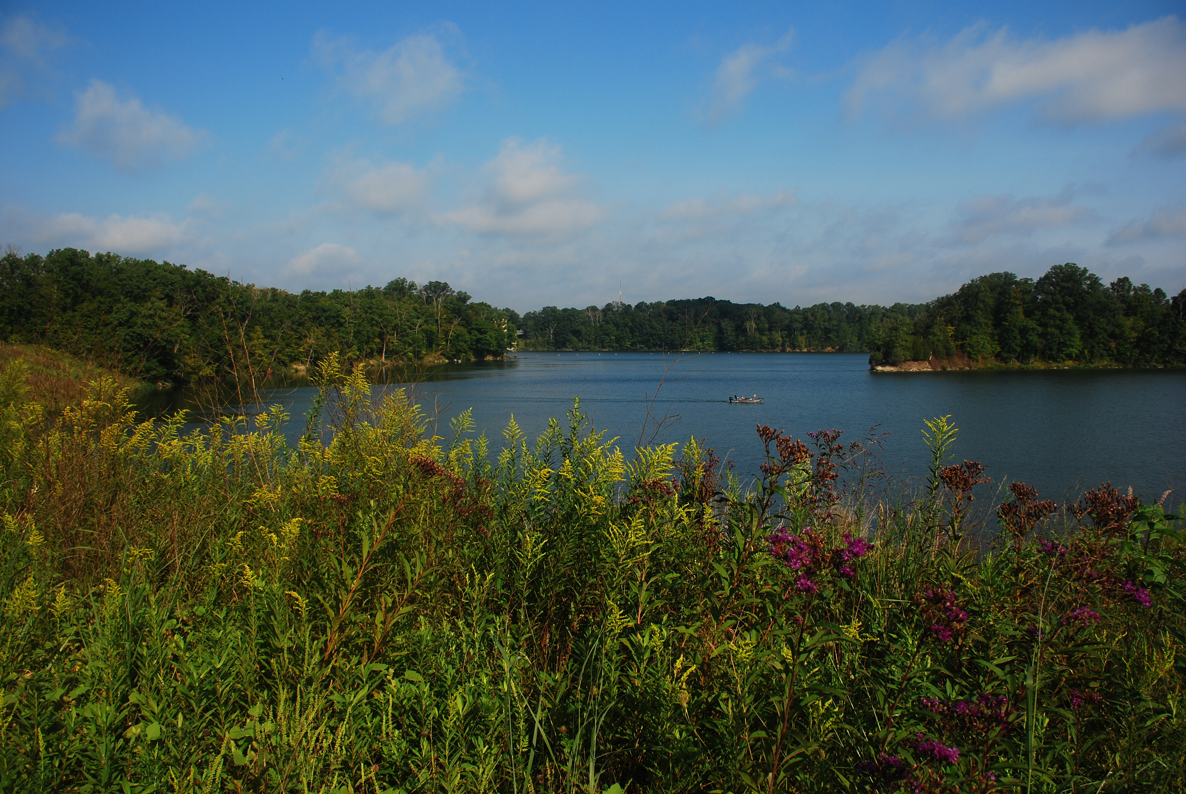 Hike to Horseshoe Falls