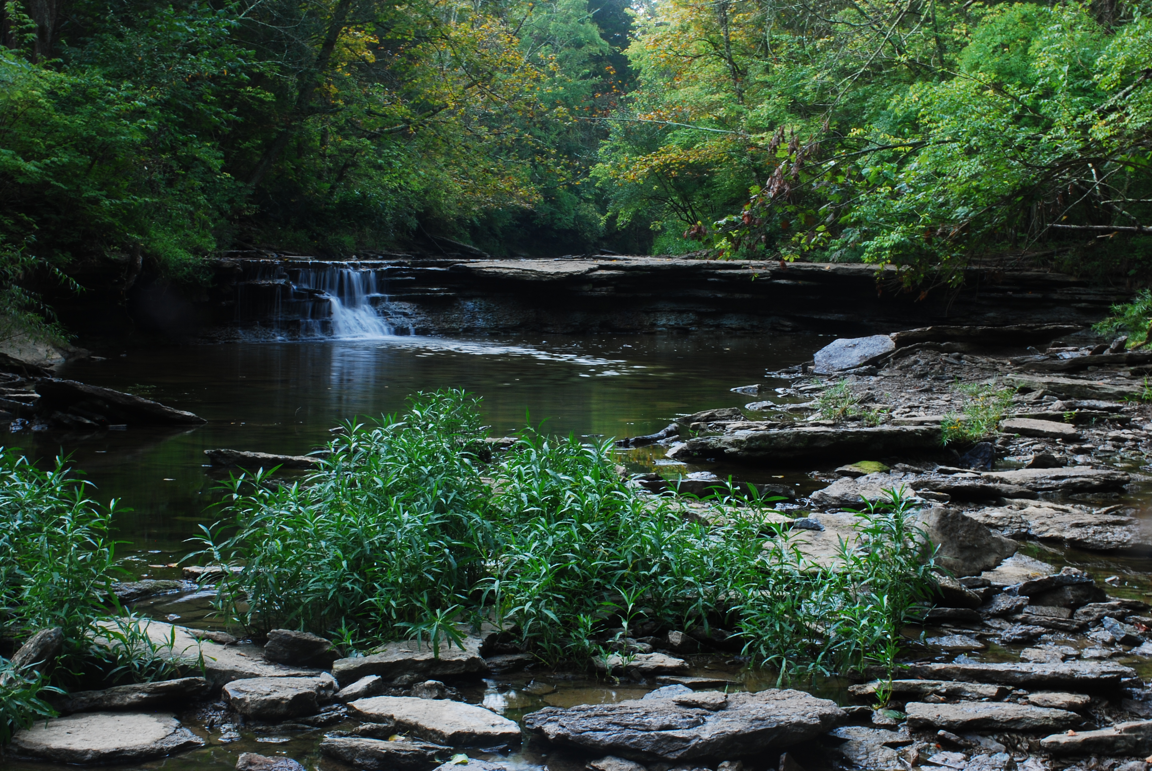 Hike to Horseshoe Falls
