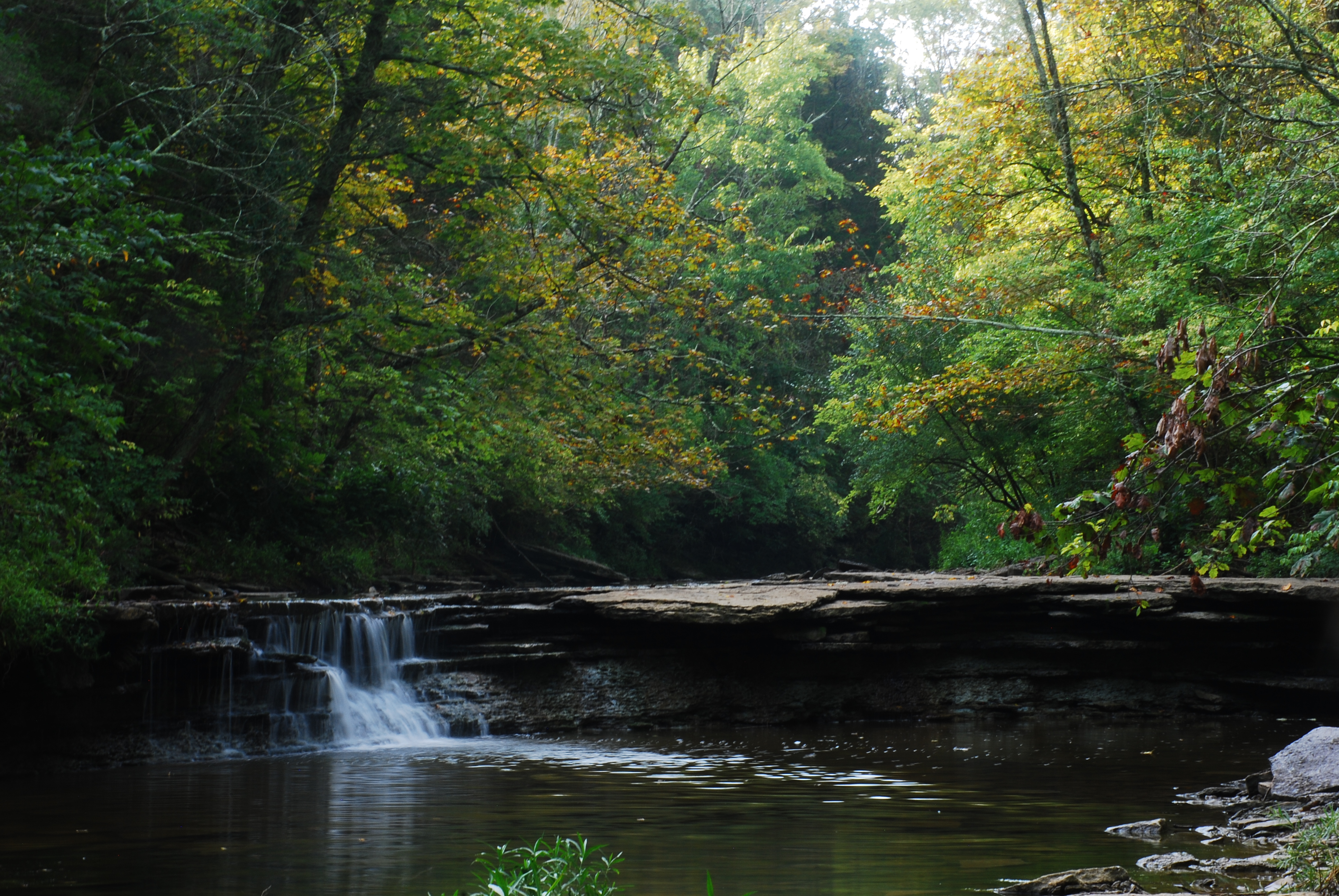 Hike to Horseshoe Falls