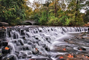 Hike the Sharon Woods Gorge Trail