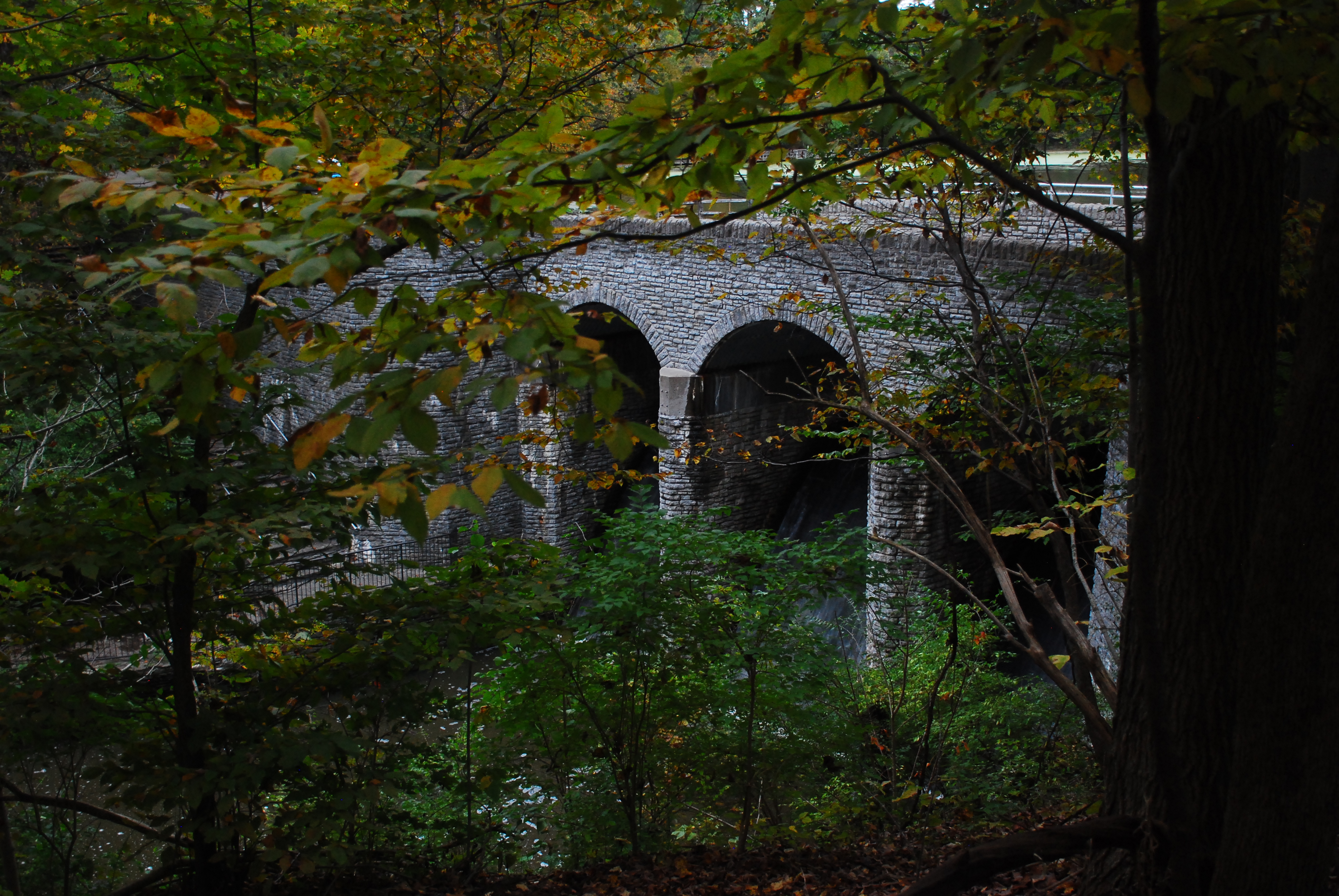 Hike the Sharon Woods Gorge Trail