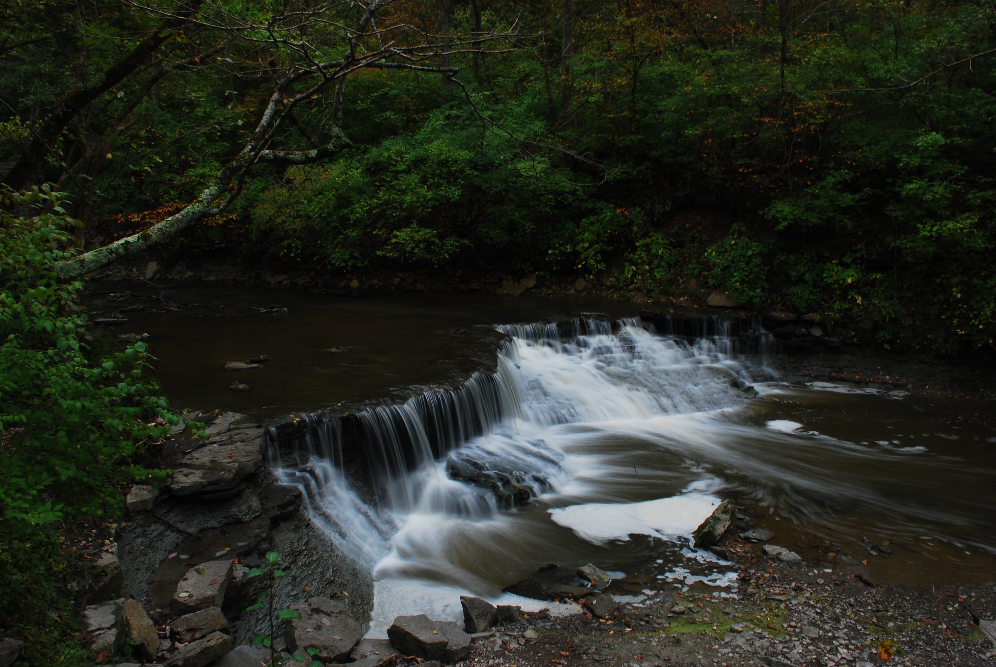 Hike the Sharon Woods Gorge Trail