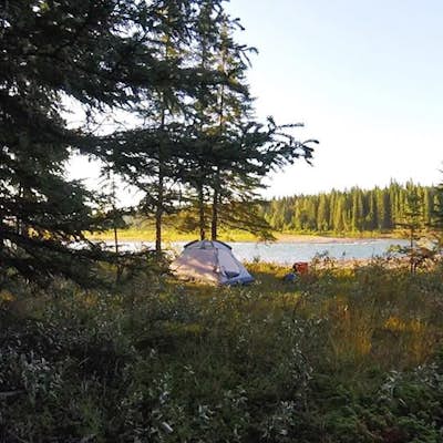 Paddle the North Saskatchewan River: Nordegg to Rocky Mountain House