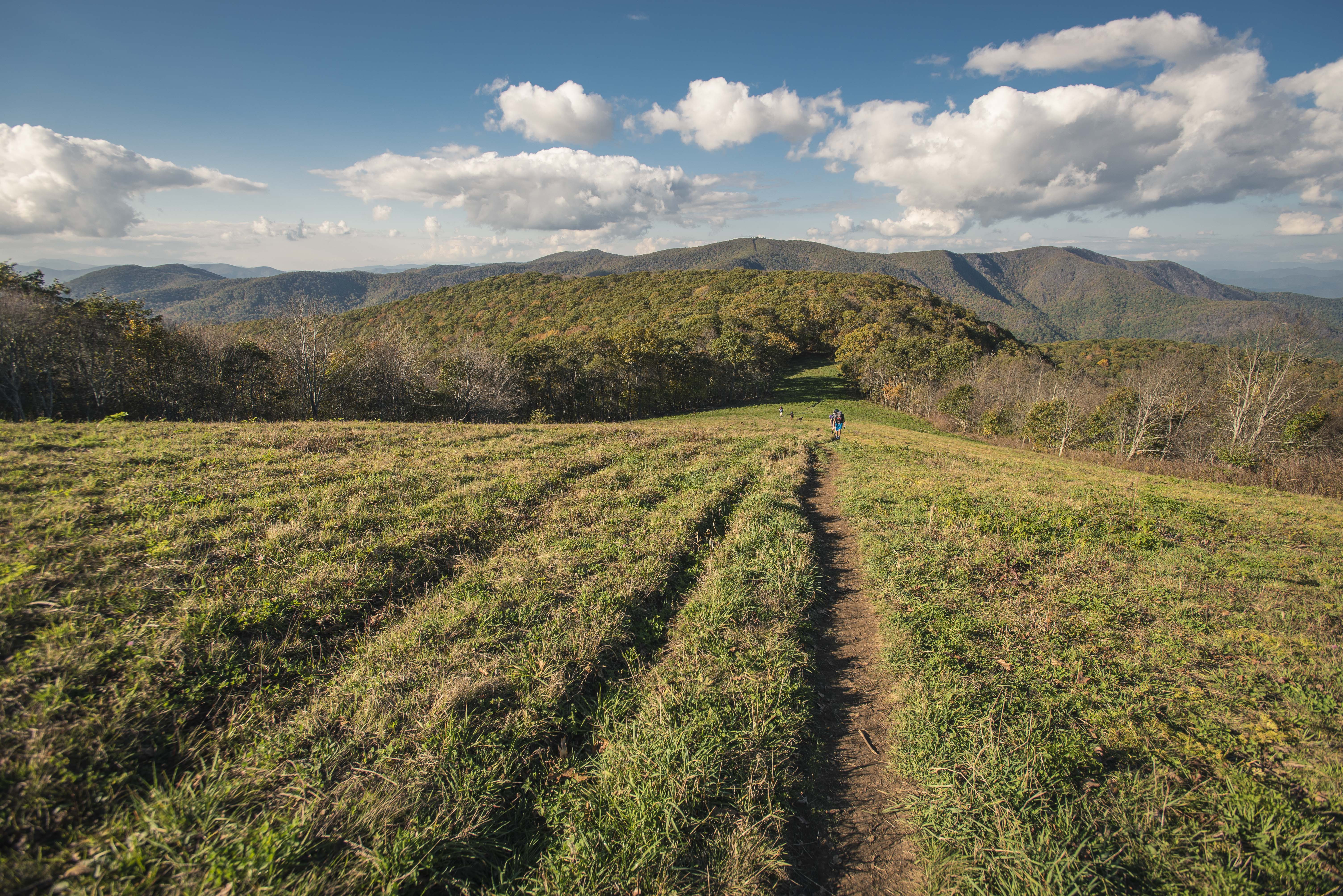 Siler Bald from Wayah Gap
