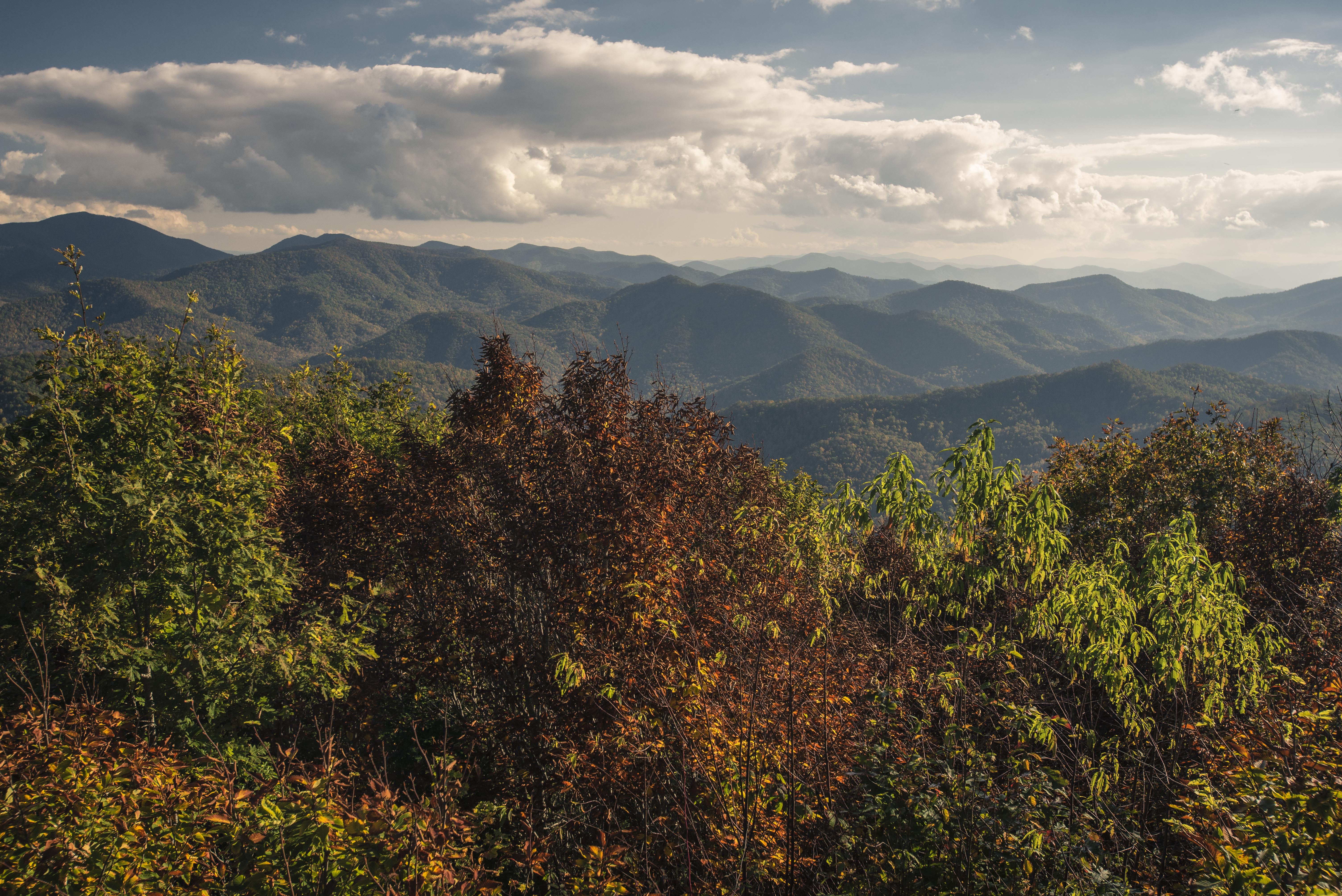 Siler Bald from Wayah Gap