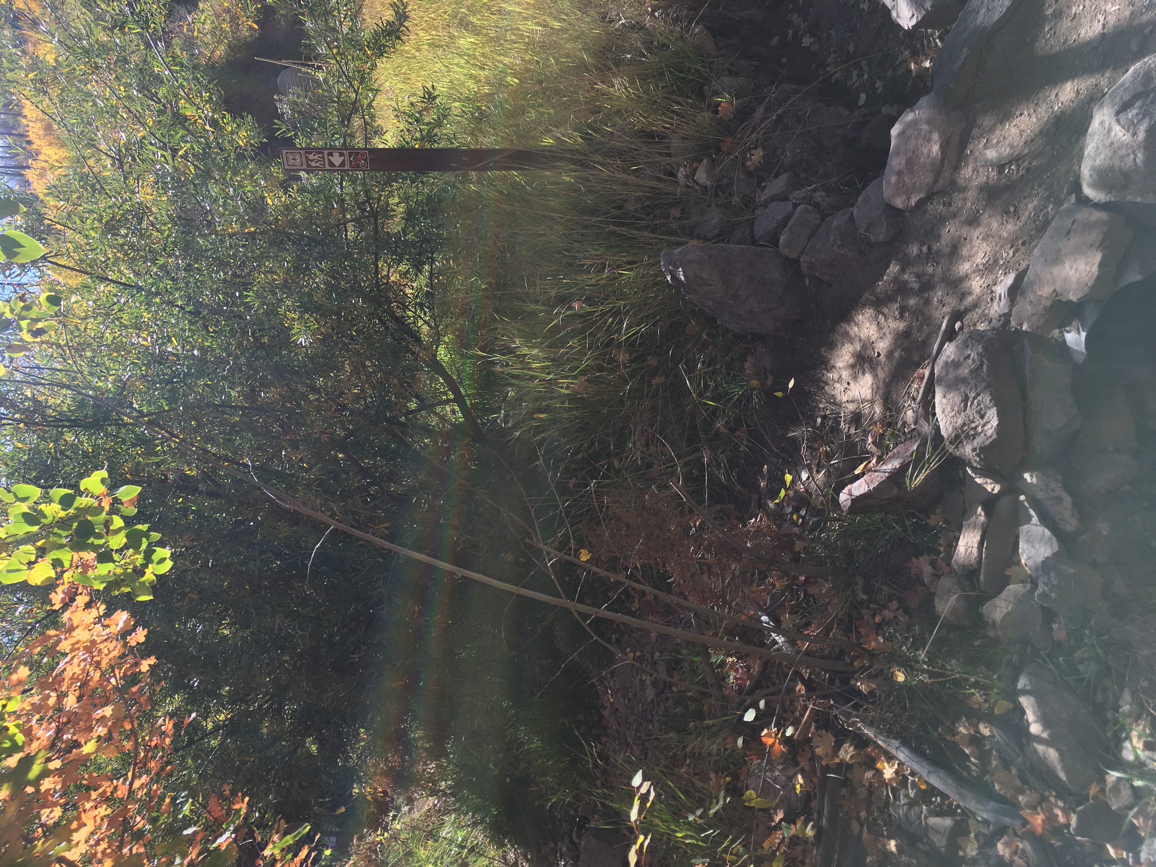 Hike Mint Springs Trail