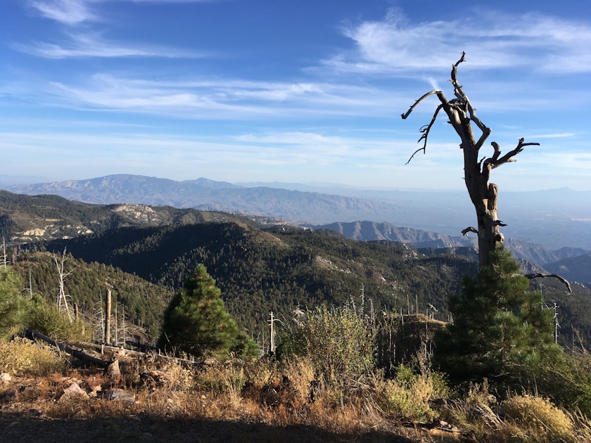 Hike Mint Springs Trail, Mount Lemmon, Arizona