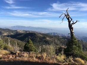 Hike Mint Springs Trail