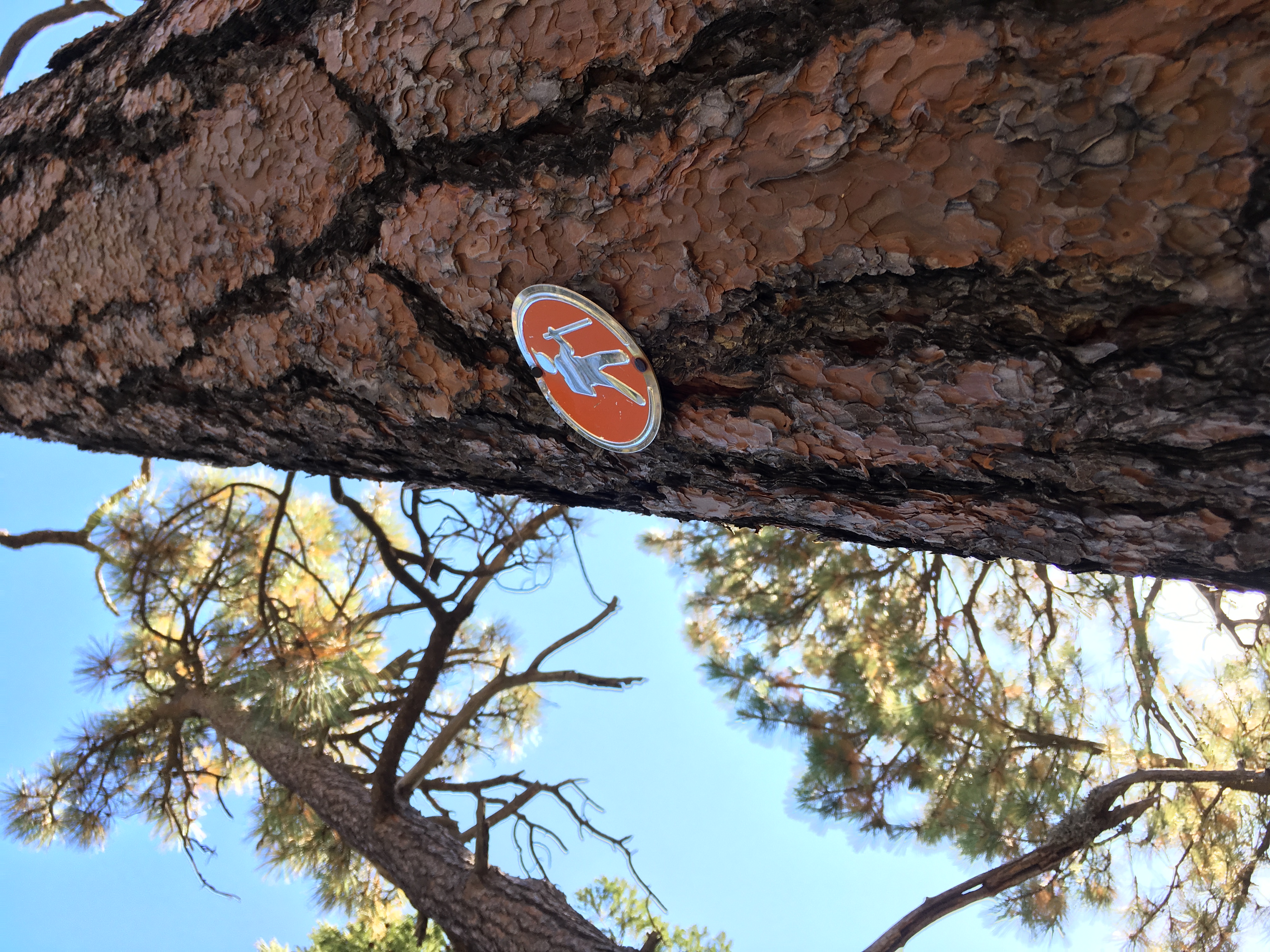 Hike Mint Springs Trail