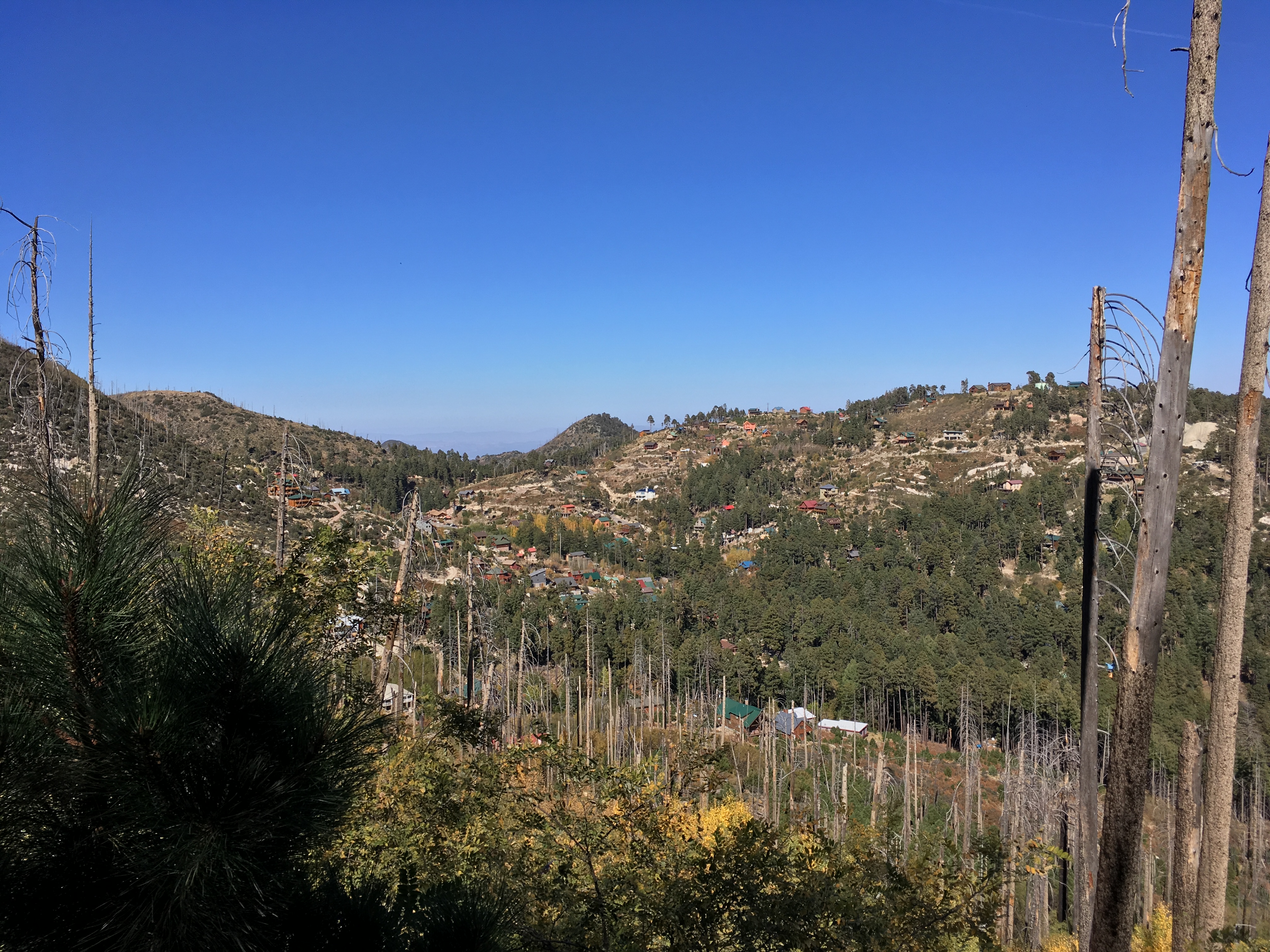 Hike Mint Springs Trail
