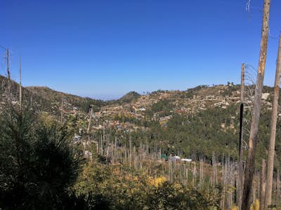 Hike Mint Springs Trail