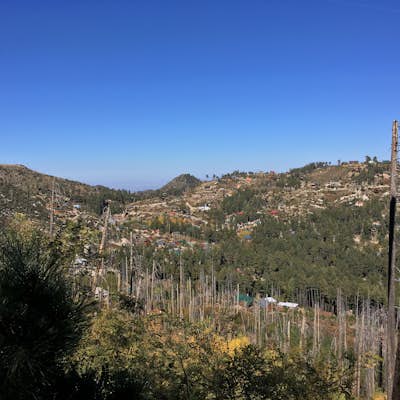 Hike Mint Springs Trail